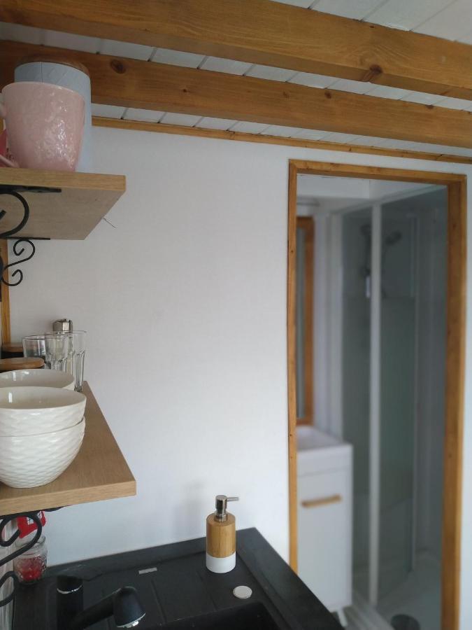 Tiny House Cluj With Jacuzzi Villa Szamosszentmiklós Kültér fotó