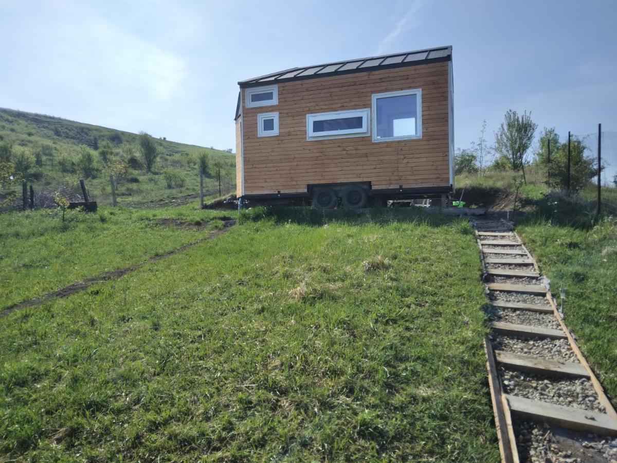 Tiny House Cluj With Jacuzzi Villa Szamosszentmiklós Kültér fotó