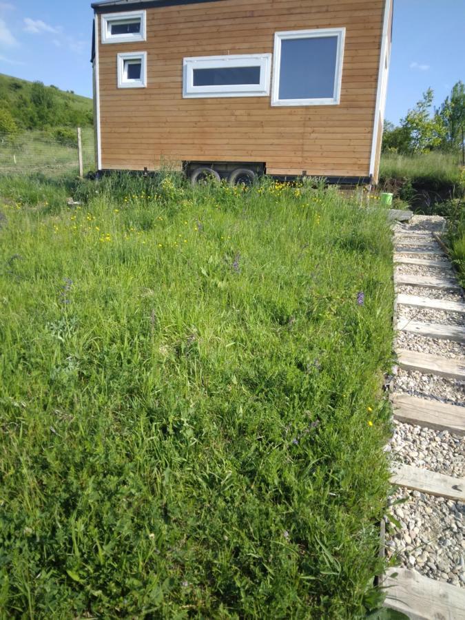 Tiny House Cluj With Jacuzzi Villa Szamosszentmiklós Kültér fotó