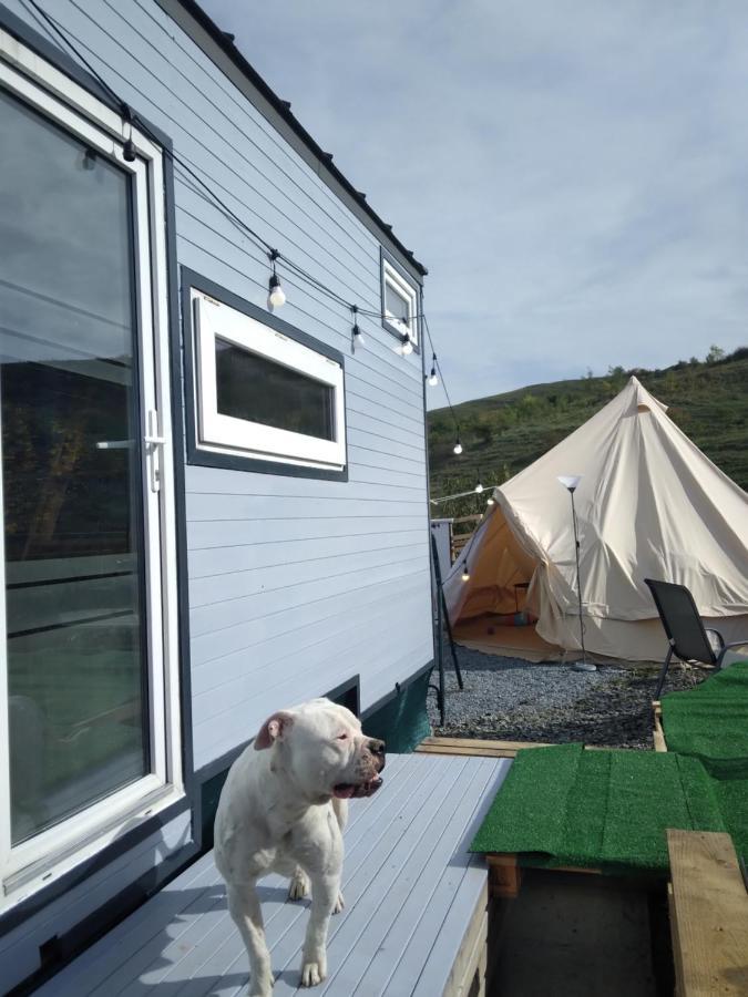 Tiny House Cluj With Jacuzzi Villa Szamosszentmiklós Kültér fotó